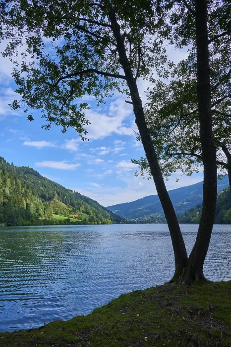 Gerahmter Druck : Alpensee, Baum, Himmel, Wolken Gerahmter Druck : Alpensee, Baum, Himmel, Wolken