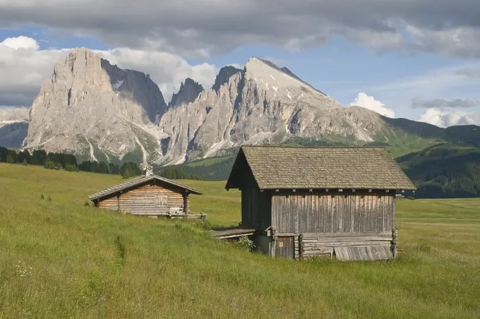 Gerahmter Druck : Alpine Weiden in Front von Mt Gerahmter Druck : Alpine Weiden in Front von Mt