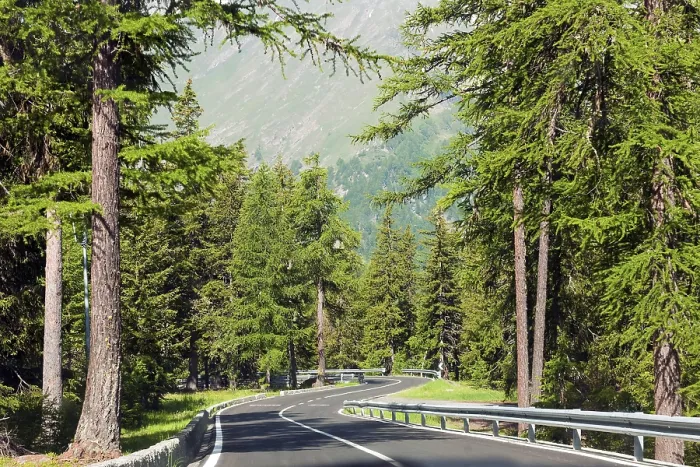 Gerahmter Druck : Alpenstraße durch den Wald, Provinz Belluno, Veneto, Italien Gerahmter Druck : Alpenstraße durch den Wald, Provinz Belluno, Veneto, Italien
