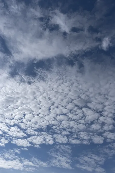 Gerahmter Druck : Altocumuluswolken (Altocumulus) Gerahmter Druck : Altocumuluswolken (Altocumulus)