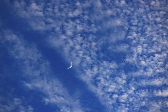 Gerahmter Druck : Altocumuluswolken mit abnehmender Mond. Gerahmter Druck : Altocumuluswolken mit abnehmender Mond.
