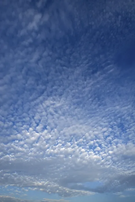 Gerahmter Druck : Altocumulus-Wolken, Deutschland Gerahmter Druck : Altocumulus-Wolken, Deutschland