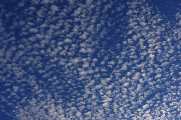 Gerahmter Druck : Altocumulus-Wolken, Oberösterreich, Österreich. Gerahmter Druck : Altocumulus-Wolken, Oberösterreich, Österreich.