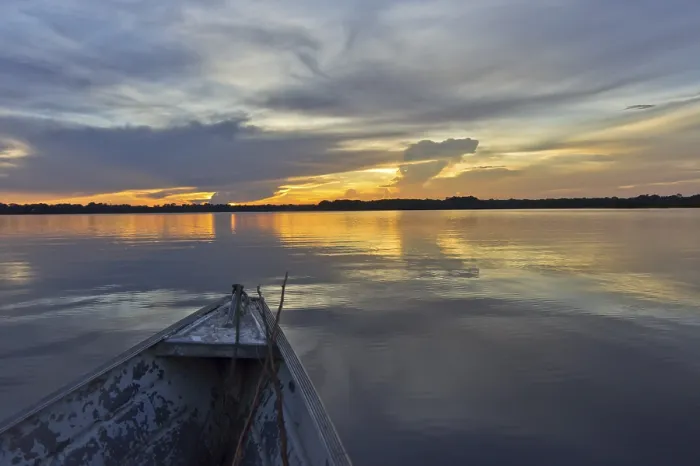 Gerahmter Druck : Amazonas-Becken, Brasilien Gerahmter Druck : Amazonas-Becken, Brasilien
