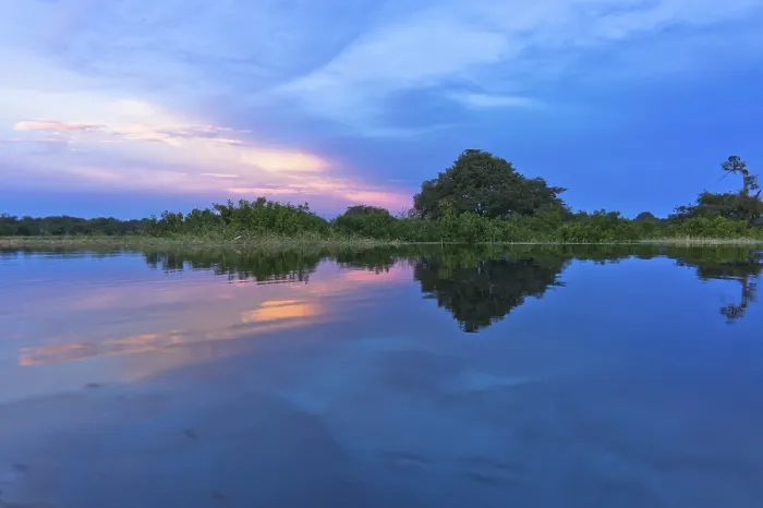 Gerahmter Druck : Amazonas-Becken, Brasilien Gerahmter Druck : Amazonas-Becken, Brasilien