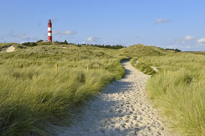 Gerahmter Druck : Amrumer Leuchtturm in Dünengebiet, Amrum, Nordfriesische Insel, Nordfriesland, Schleswig-Holstein, Deutschland Gerahmter Druck : Amrumer Leuchtturm in Dünengebiet, Amrum, Nordfriesische Insel, Nordfriesland, Schleswig-Holstein, Deutschland