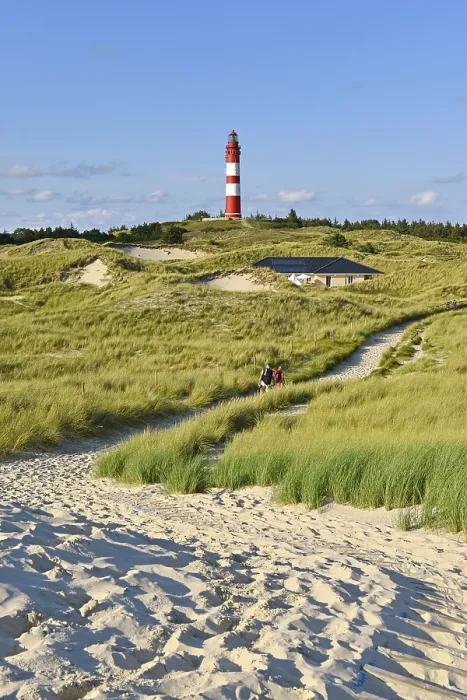 Gerahmter Druck : Leuchtturm Amrum in Dünengebiet, Amrum. Gerahmter Druck : Leuchtturm Amrum in Dünengebiet, Amrum.