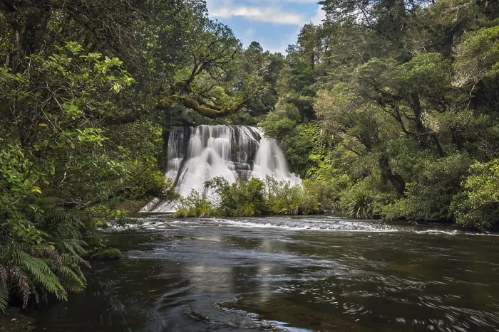Gerahmter Druck : Aniwaniwa-Fälle, Regenwald-Wasserfall Gerahmter Druck : Aniwaniwa-Fälle, Regenwald-Wasserfall