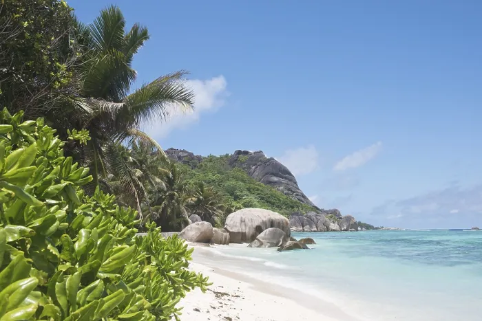 Gerahmter Druck : Anse Source d'Argent Beach