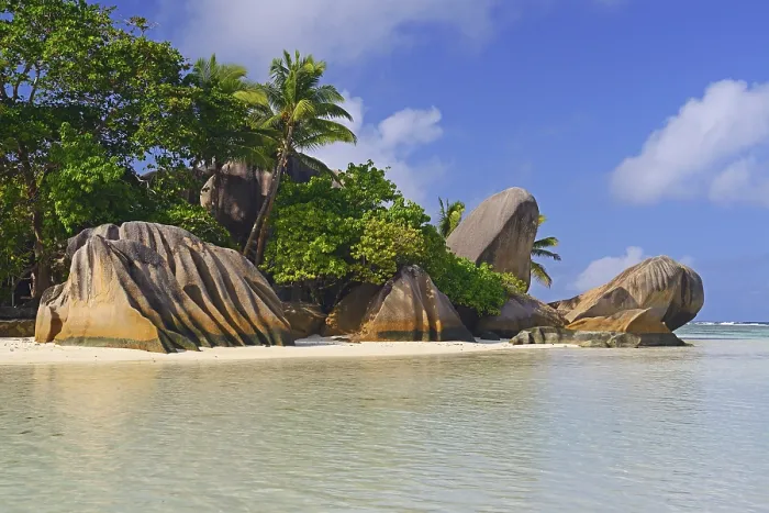 Gerahmter Druck : Anse Source d'Argent, Strand mit Felsen und Palmen. Gerahmter Druck : Anse Source d'Argent, Strand mit Felsen und Palmen.