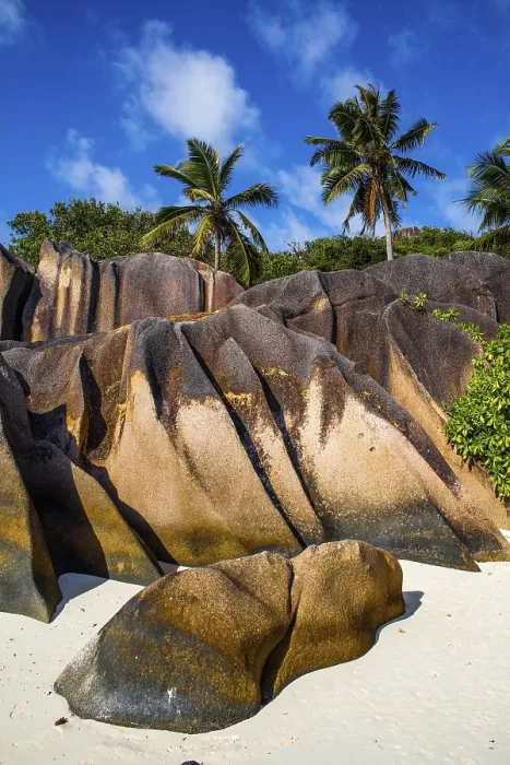 Gerahmter Druck : Anse Source d'Argent, Granitfelsstrand. Gerahmter Druck : Anse Source d'Argent, Granitfelsstrand.