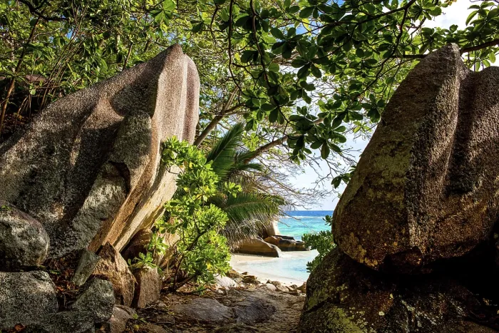 Gerahmter Druck : Anse Source d'Argent, Granitfelsstrand. Gerahmter Druck : Anse Source d'Argent, Granitfelsstrand.