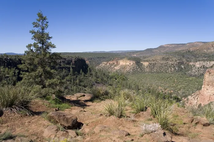 Gerahmter Druck : Apache Sitgreaves National Forest Gerahmter Druck : Apache Sitgreaves National Forest