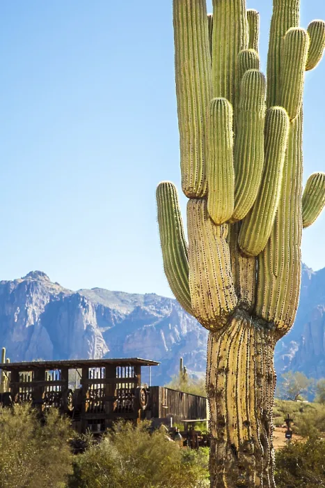 Gerahmter Druck : Apache Trail Arizona Gerahmter Druck : Apache Trail Arizona