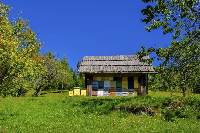 Gerahmter Druck : Bienenstand, Solčava Panoramastraße Gerahmter Druck : Bienenstand, Solčava Panoramastraße