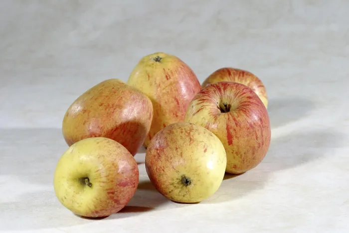 Gerahmter Druck : Apfel Apfelblüte Gerahmter Druck : Apfel Apfelblüte