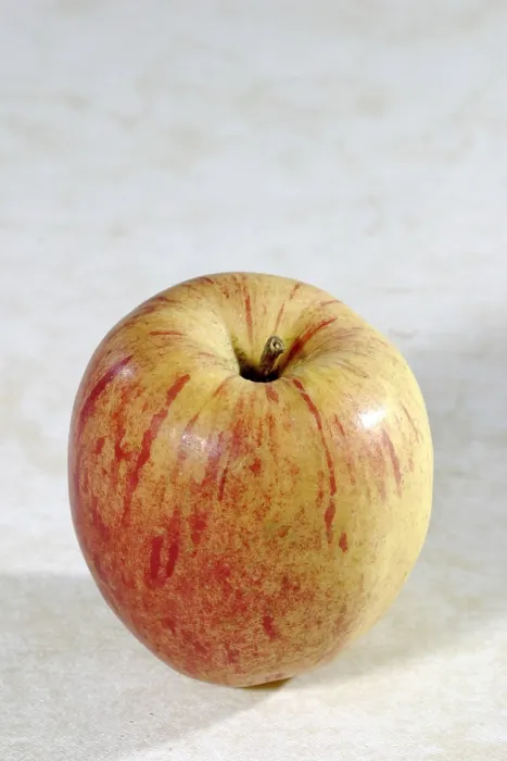 Gerahmter Druck : Apfel-Alantapfel
