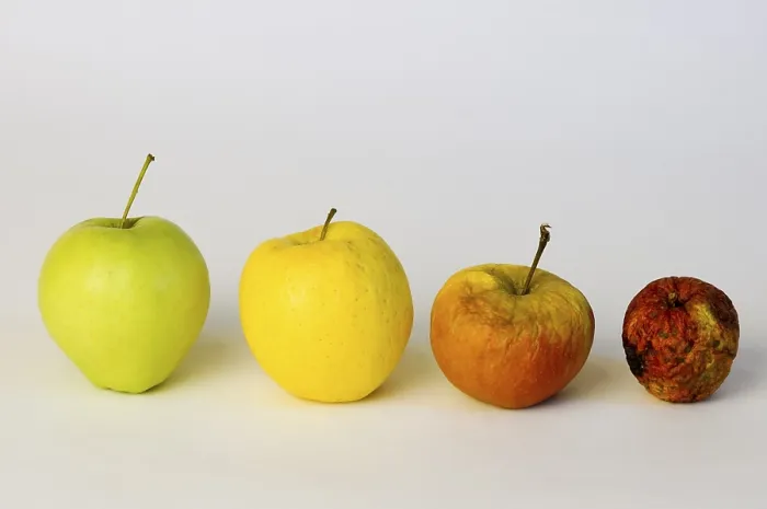 Gerahmter Druck : Apfel Apfeln Gerahmter Druck : Apfel Apfeln