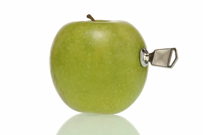 Gerahmter Druck : Apfel mit Schloss und Schlüssel. Gerahmter Druck : Apfel mit Schloss und Schlüssel.