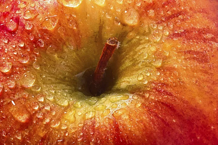 Gerahmter Druck : Apfel-Makro mit Wassertröpfchen Gerahmter Druck : Apfel-Makro mit Wassertröpfchen