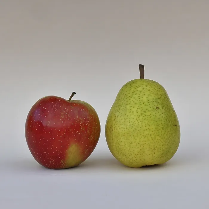 Gerahmter Druck : Apfel (Malus) und Birne (Pyrus communis) Gerahmter Druck : Apfel (Malus) und Birne (Pyrus communis)