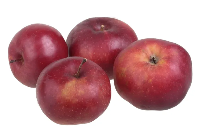 Gerahmter Druck : Apfel-Varietät Danzig Kant Gerahmter Druck : Apfel-Varietät Danzig Kant