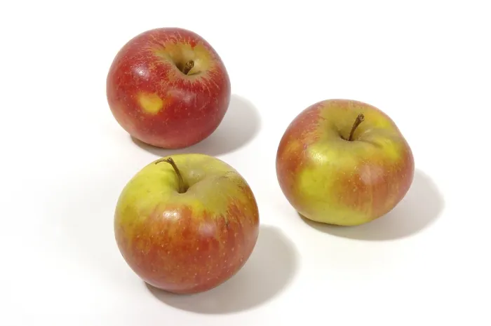 Gerahmter Druck : Apples Gerahmter Druck : Apples