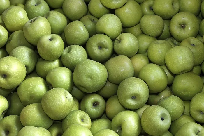 Gerahmter Druck : Apples Gerahmter Druck : Apples