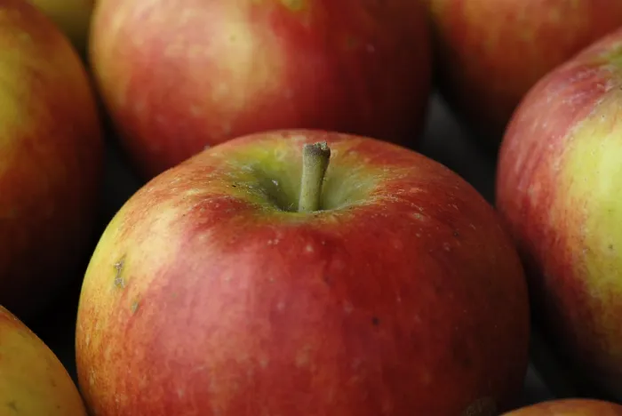 Gerahmter Druck : Äpfel vom Garten. Gerahmter Druck : Äpfel vom Garten.