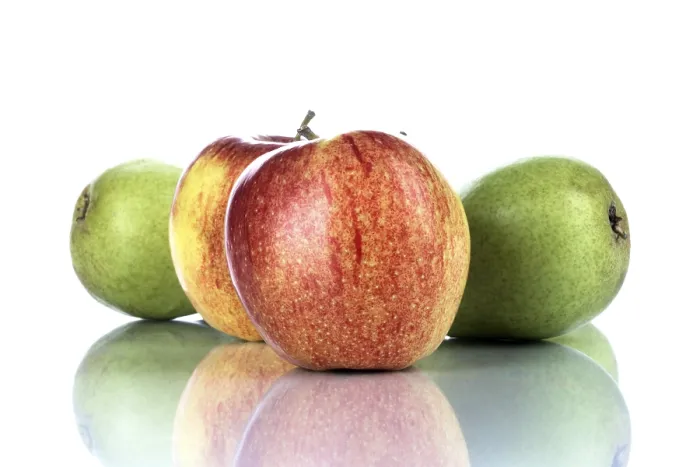 Gerahmter Druck : Äpfel und Birnen Gerahmter Druck : Äpfel und Birnen