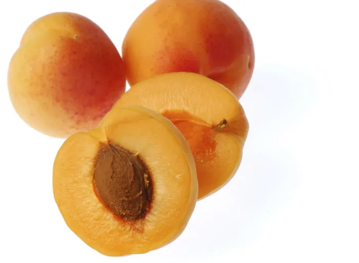 Gerahmter Druck : Apricots Gerahmter Druck : Apricots
