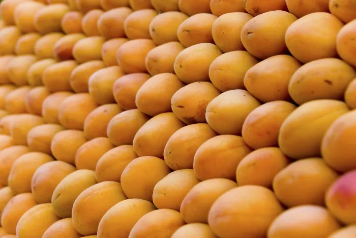Gerahmter Druck : Apricots Gerahmter Druck : Apricots