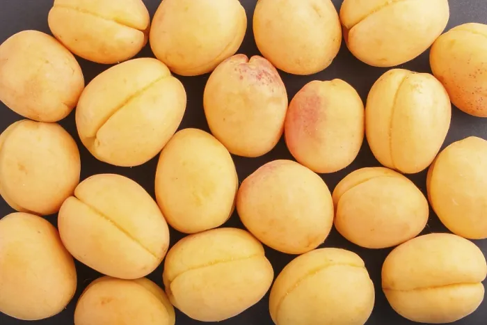 Gerahmter Druck : Apricots-Muster auf schwarzem Hintergrund. Gerahmter Druck : Apricots-Muster auf schwarzem Hintergrund.