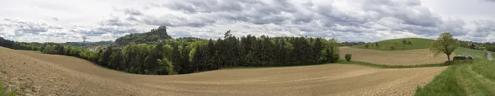Gerahmter Druck : Ackerland, Weiden und Wald.