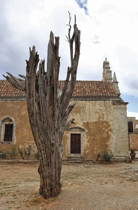 Gerahmter Druck : Arkadi-Kloster, der Kugelbaum