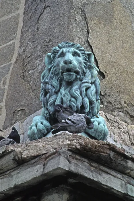 Gerahmter Druck : Löwenstatue in Arles Gerahmter Druck : Löwenstatue in Arles
