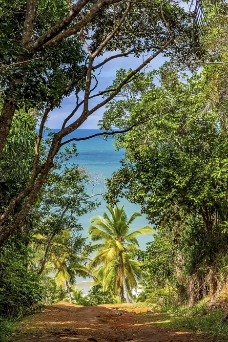 Gerahmter Druck : Ankunft in Prainha. Gerahmter Druck : Ankunft in Prainha.