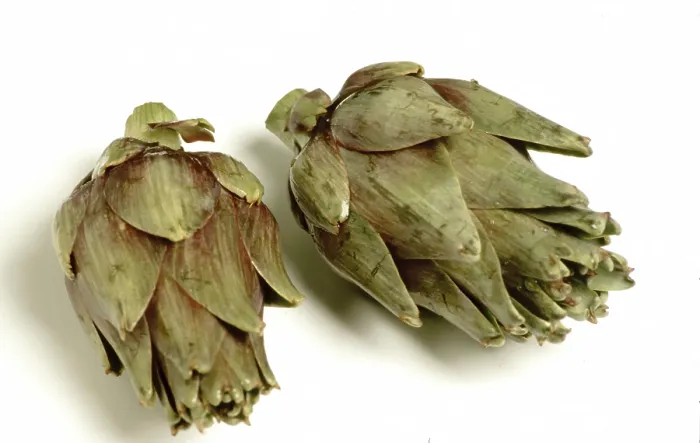 Gerahmter Druck : Artichoke Gerahmter Druck : Artichoke