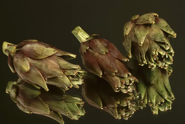 Gerahmter Druck : Artichoke Gerahmter Druck : Artichoke
