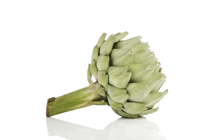 Gerahmter Druck : Artichoke Gerahmter Druck : Artichoke