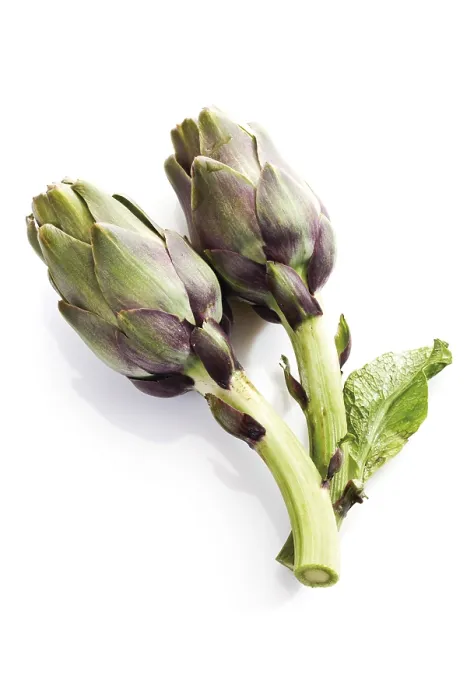 Gerahmter Druck : Artichokes Gerahmter Druck : Artichokes