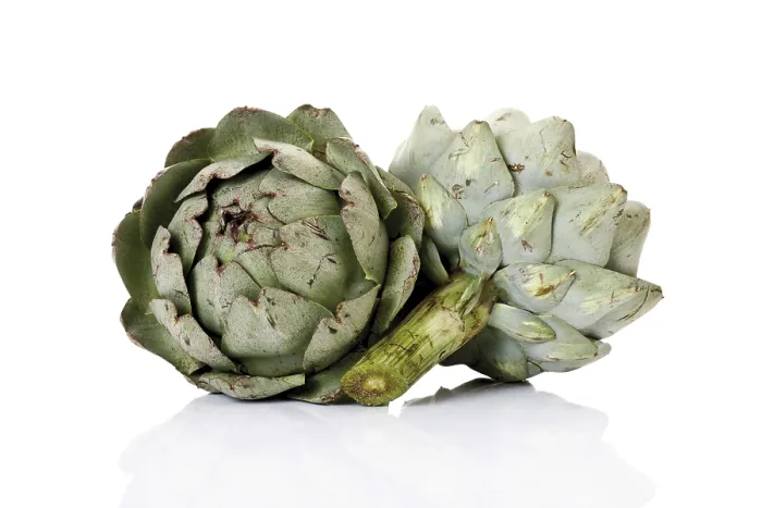 Gerahmter Druck : Artichokes Gerahmter Druck : Artichokes