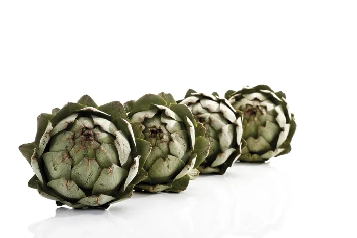 Gerahmter Druck : Artichokes Gerahmter Druck : Artichokes