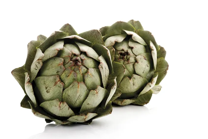 Gerahmter Druck : Artichokes Gerahmter Druck : Artichokes