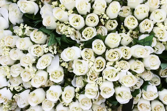 Gerahmter Druck : Künstliche weiße Rosen. Gerahmter Druck : Künstliche weiße Rosen.