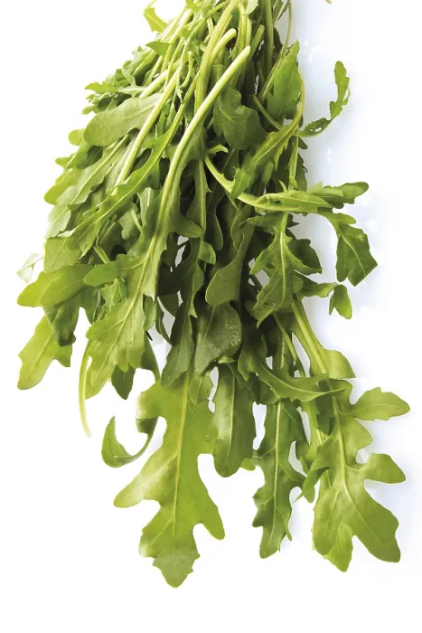 Gerahmter Druck : Arugula Gerahmter Druck : Arugula