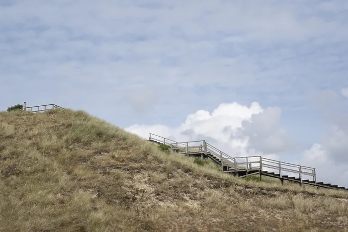 Gerahmter Druck : Aufstieg zur Aussichtsdüne, Amrum. Gerahmter Druck : Aufstieg zur Aussichtsdüne, Amrum.