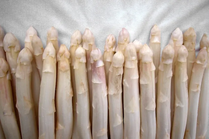Gerahmter Druck : Asparagus Gerahmter Druck : Asparagus