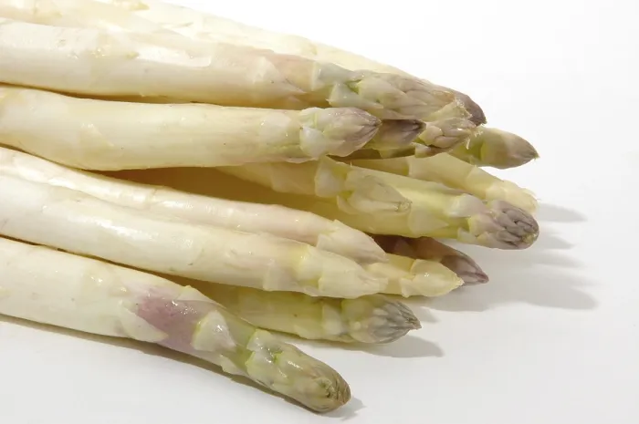 Gerahmter Druck : Asparagus Gerahmter Druck : Asparagus