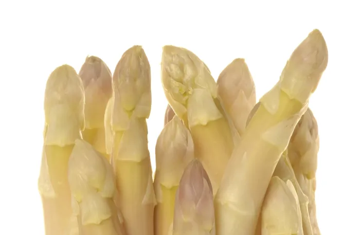 Gerahmter Druck : Asparagus Gerahmter Druck : Asparagus